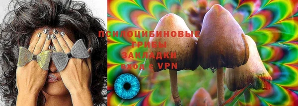 марки lsd Гусь-Хрустальный